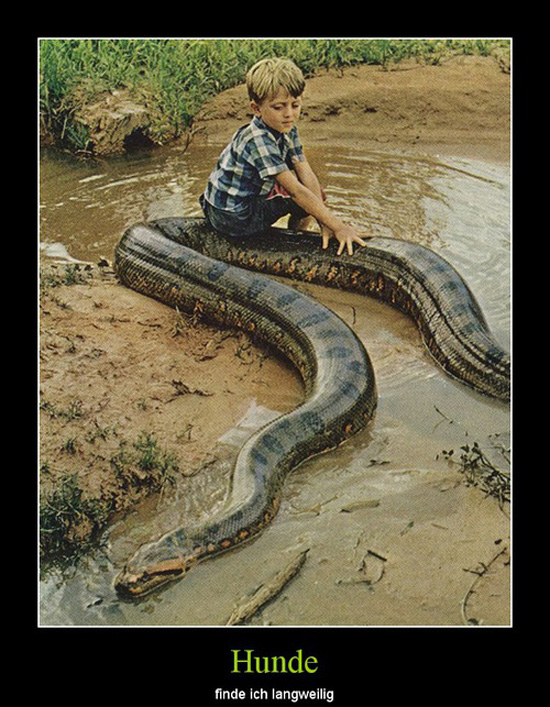 best of demotivators