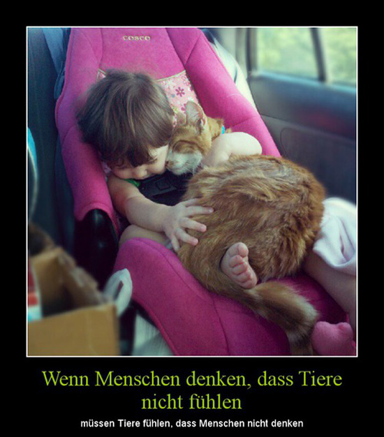 best of demotivators