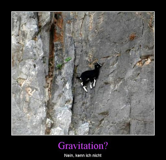 best of demotivators