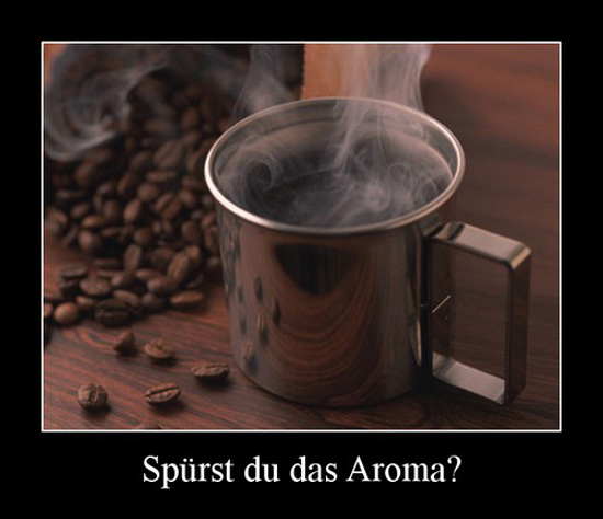 best of demotivators