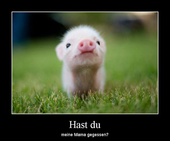 best of demotivators