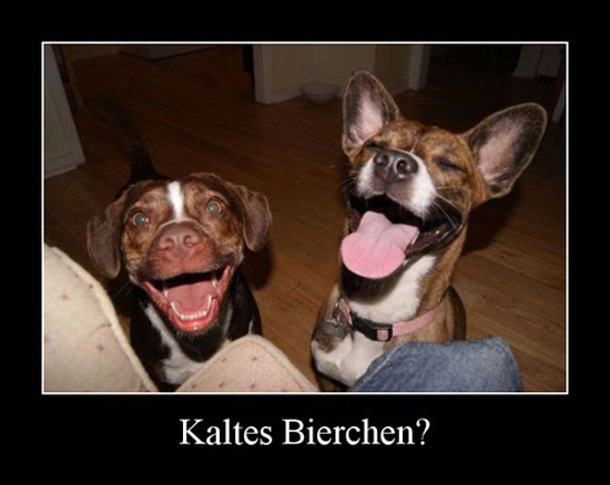 best of demotivators