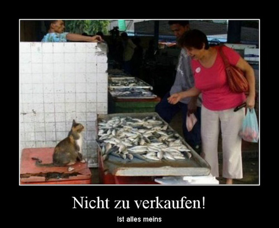 best of demotivators