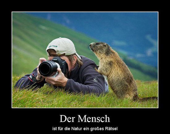 best of demotivators