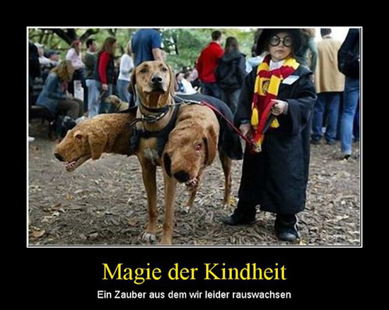 best of demotivators