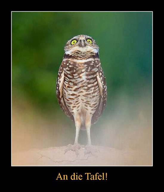 best of demotivators
