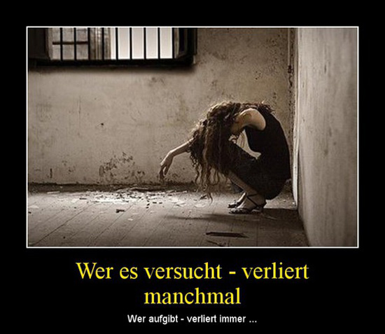 best of demotivators