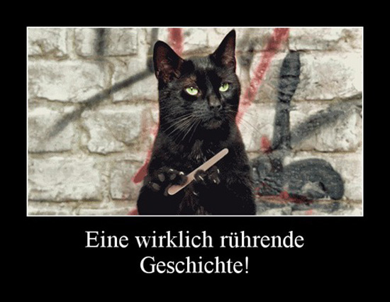 best of demotivators