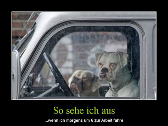 best of demotivators