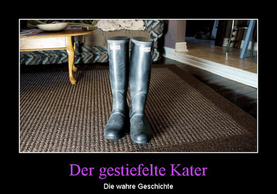 best of demotivators