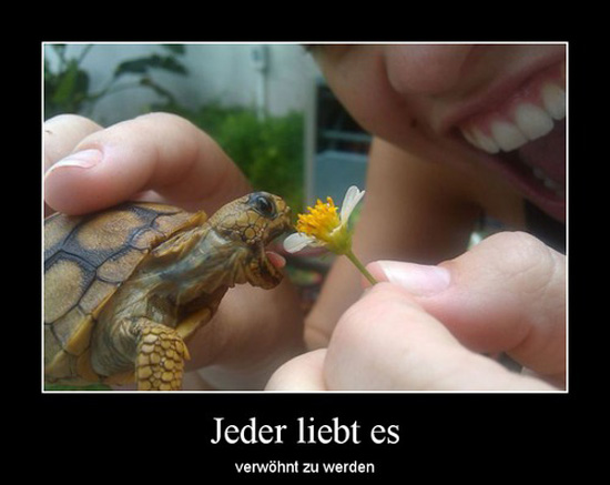 best of demotivators
