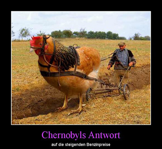 best of demotivators