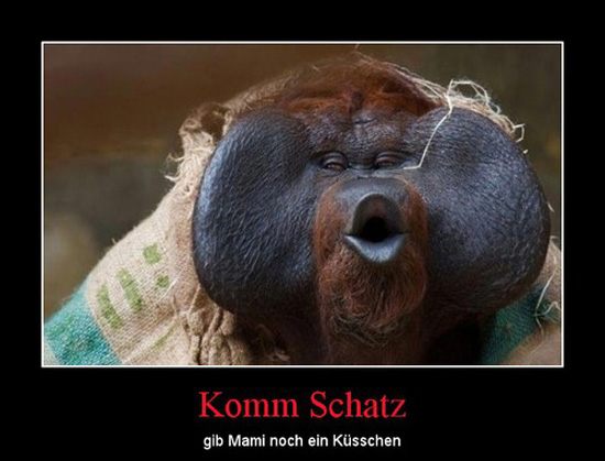 best of demotivators