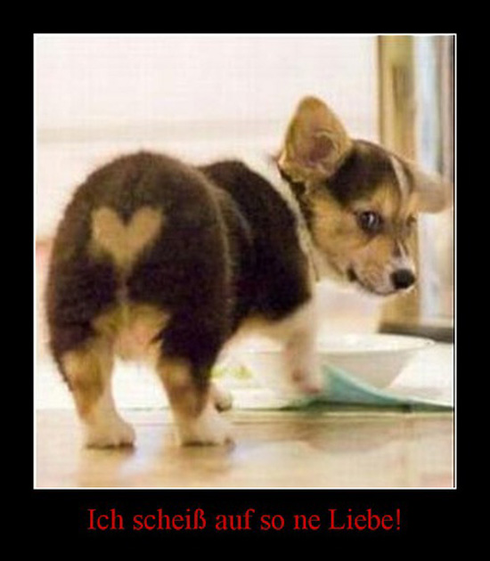 best of demotivators