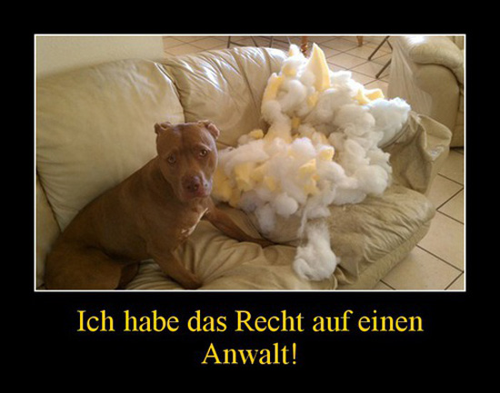 best of demotivators
