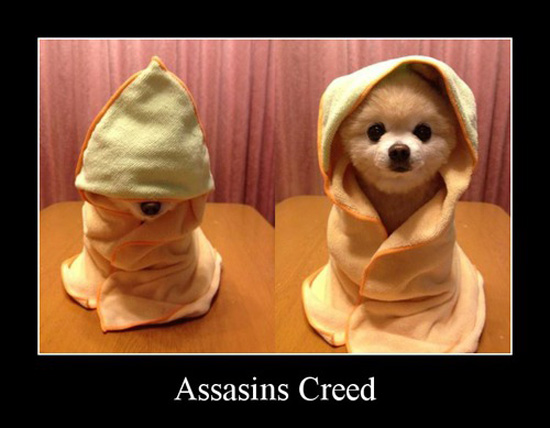 best of demotivators