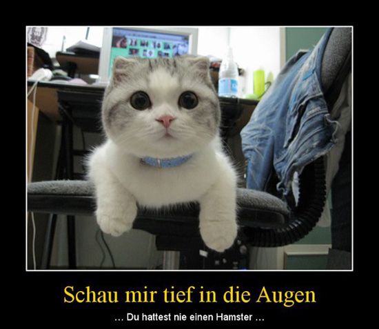 best of demotivators