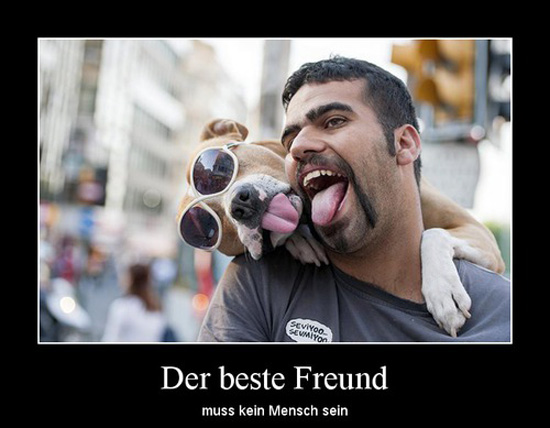 best of demotivators