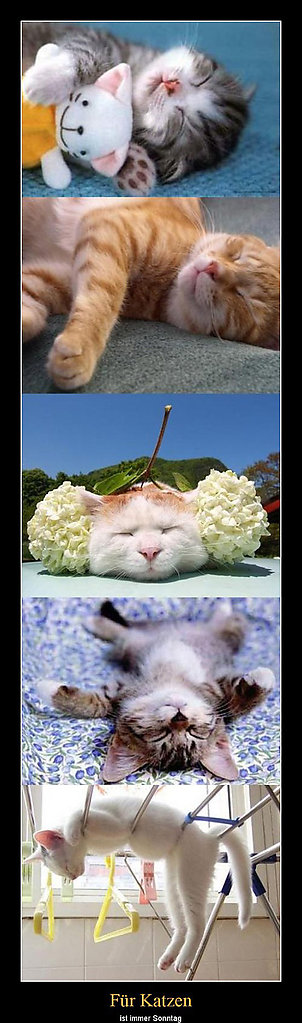 best of demotivators