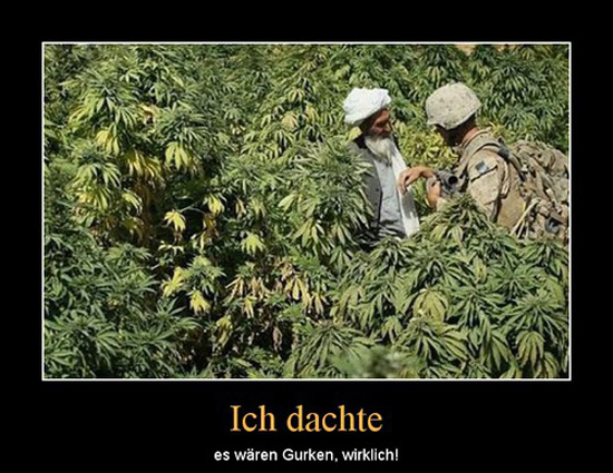 best of demotivators