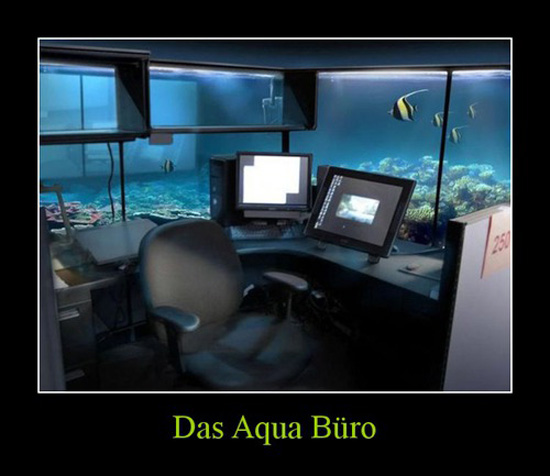 best of demotivators