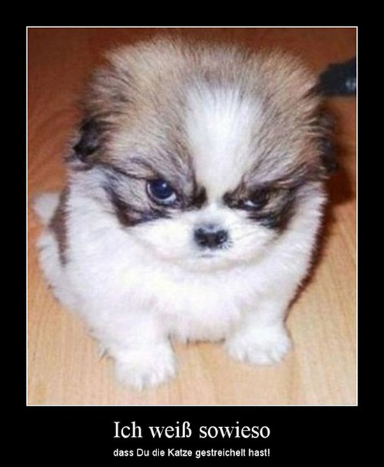 best of demotivators