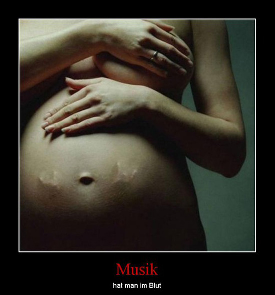 best of demotivators