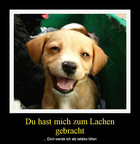 best of demotivators