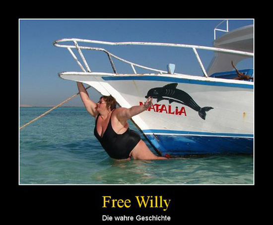 best of demotivators