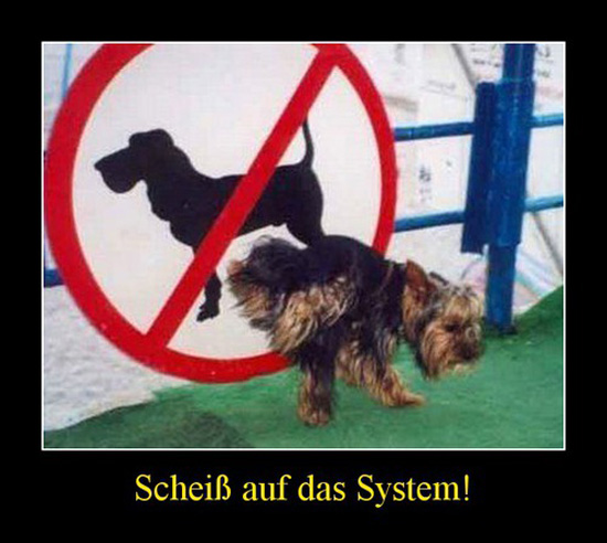 best of demotivators