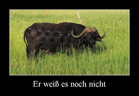 best of demotivators