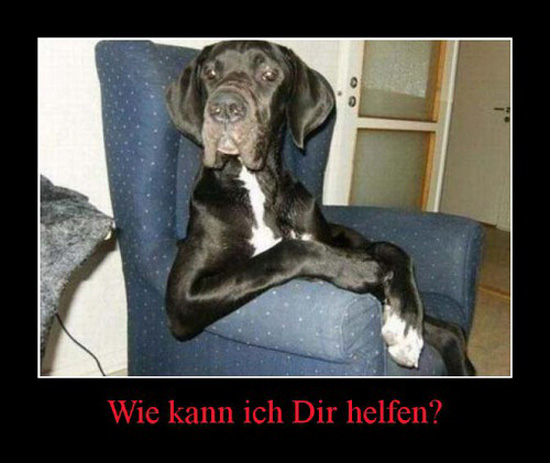 best of demotivators