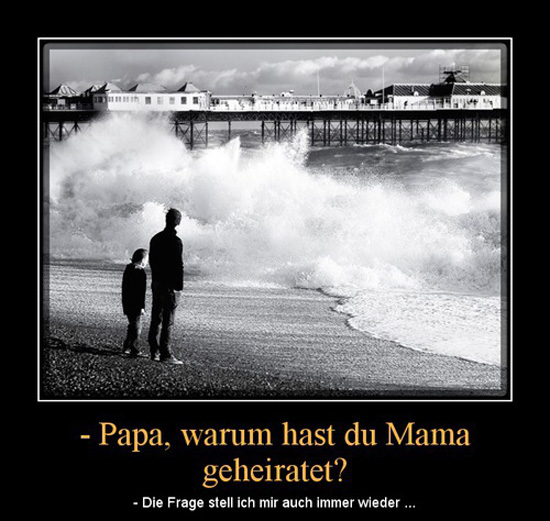 best of demotivators