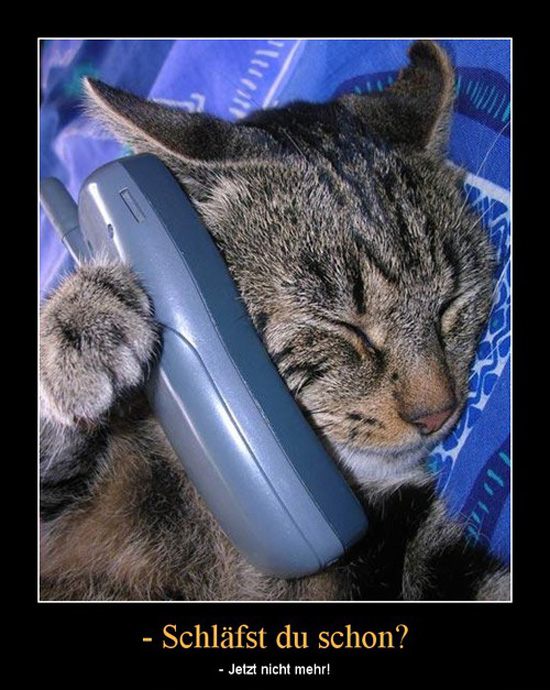 best of demotivators