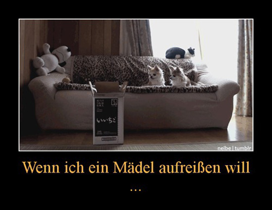 best of demotivators