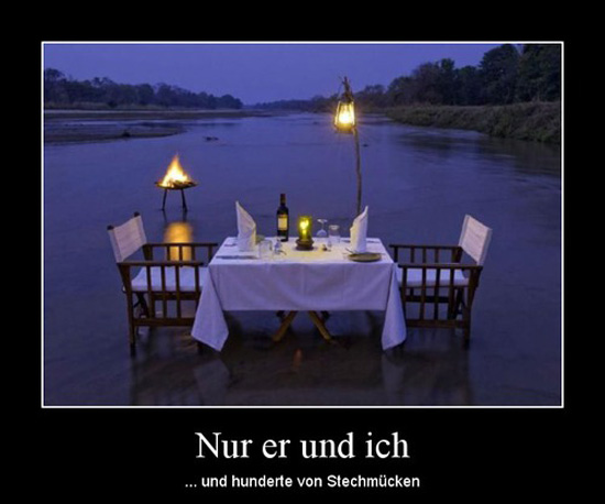 best of demotivators