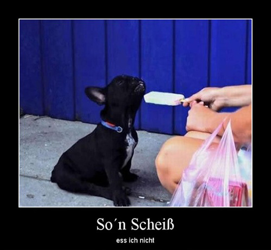 best of demotivators