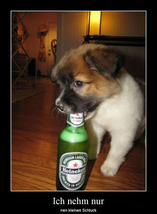 best of demotivators