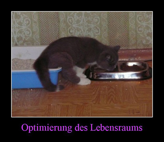 best of demotivators