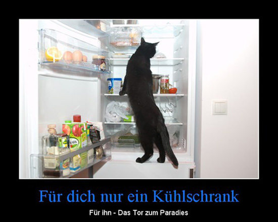 best of demotivators