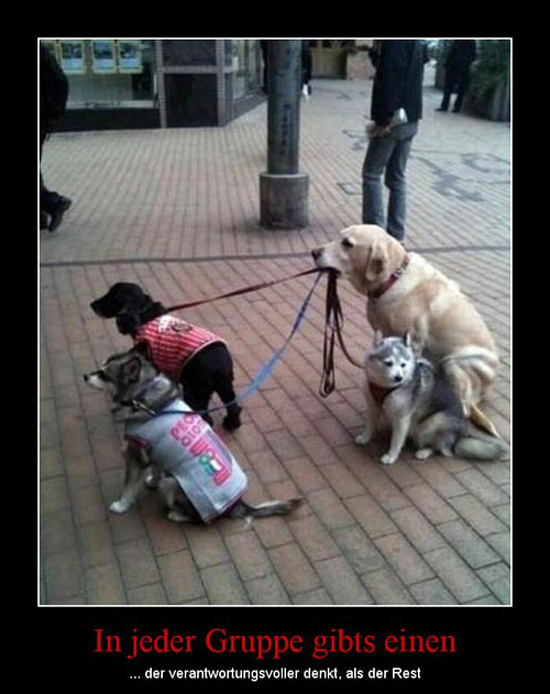 best of demotivators
