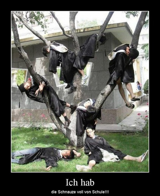 best of demotivators