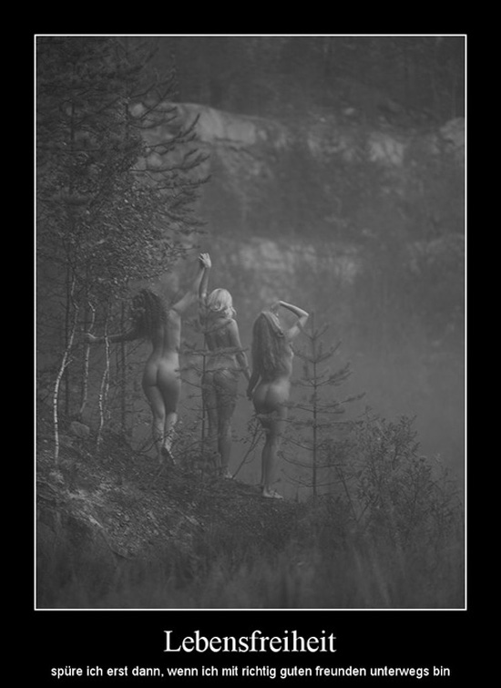 best of demotivators