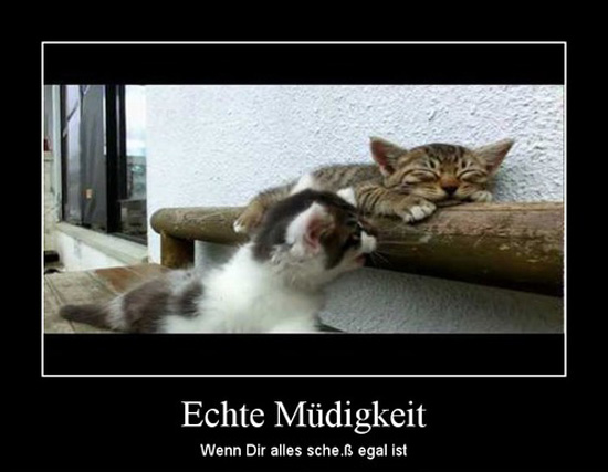 best of demotivators