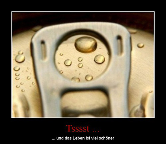 best of demotivators