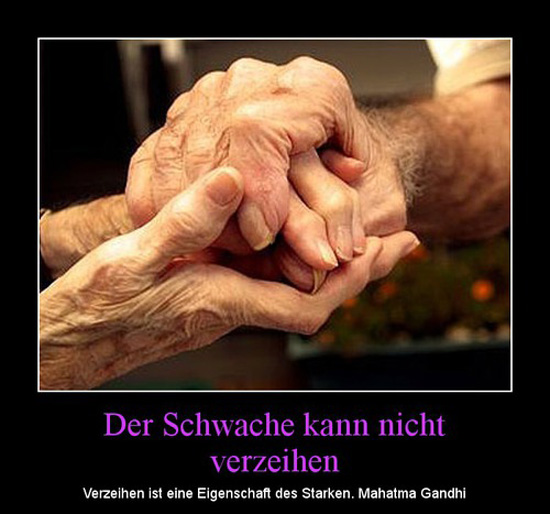 best of demotivators