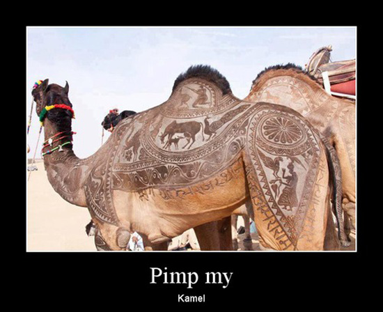 best of demotivators
