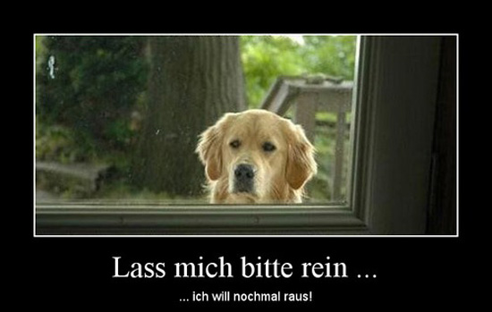best of demotivators