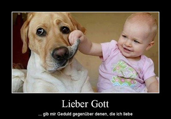 best of demotivators