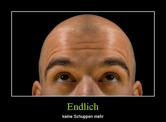 best of demotivators